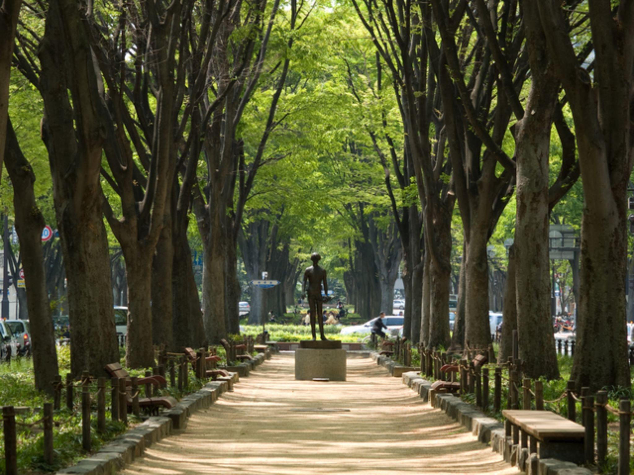 Khu vực xung quanh