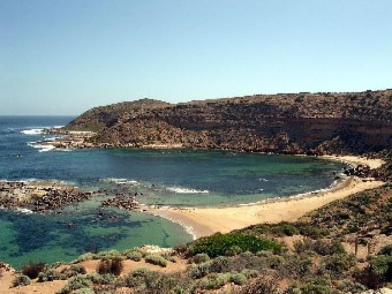 Khu vực xung quanh