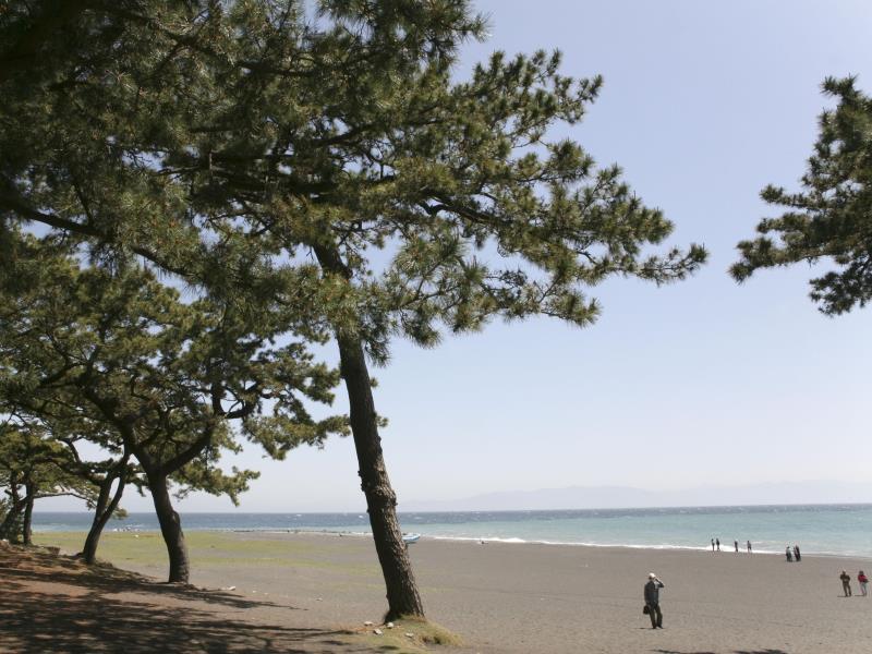 Nơi tham quan gần đây