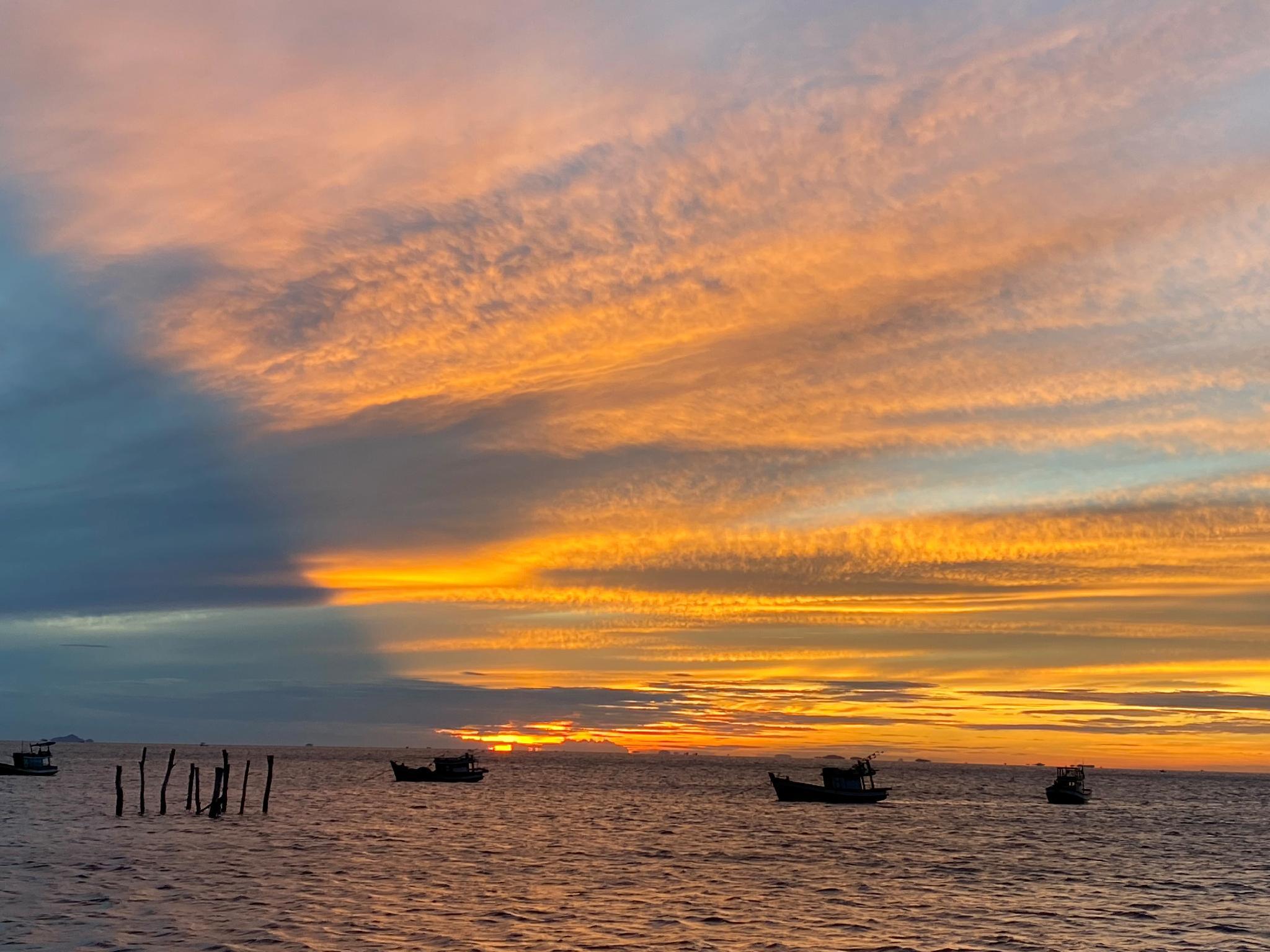 Khu vực xung quanh