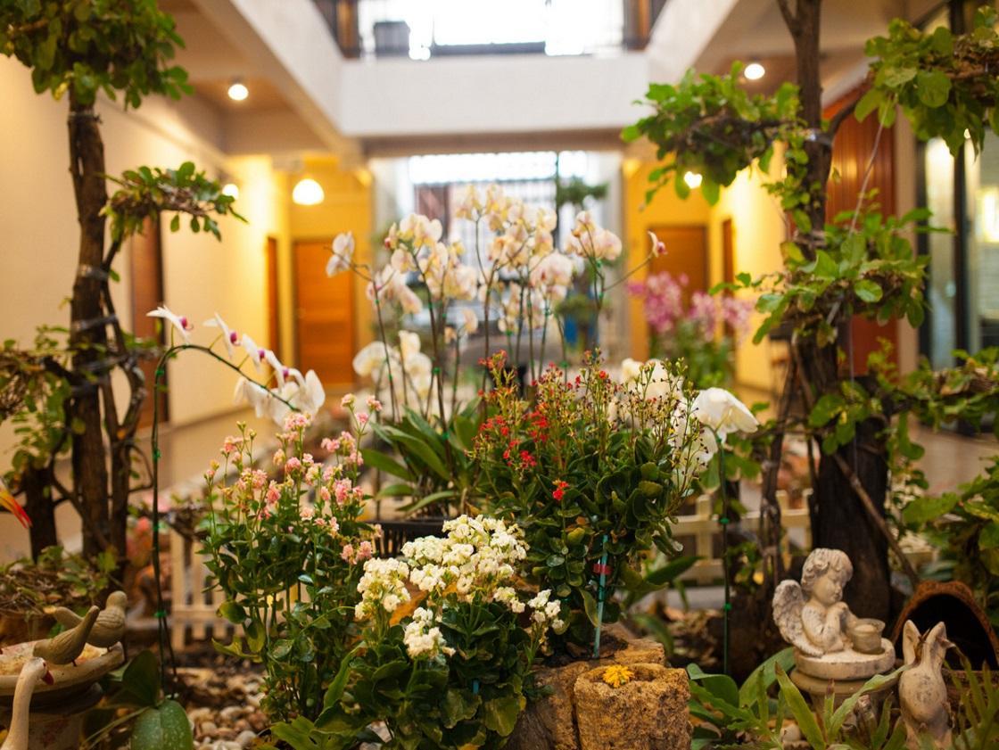 Khu vực xung quanh