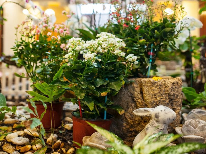 Khu vực xung quanh