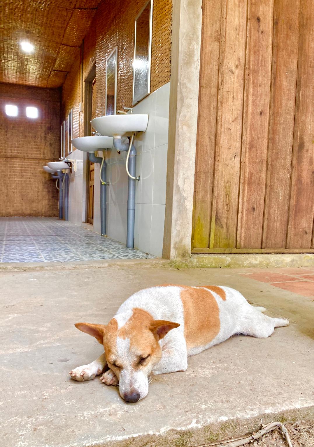 Ngoại cảnh khách sạn