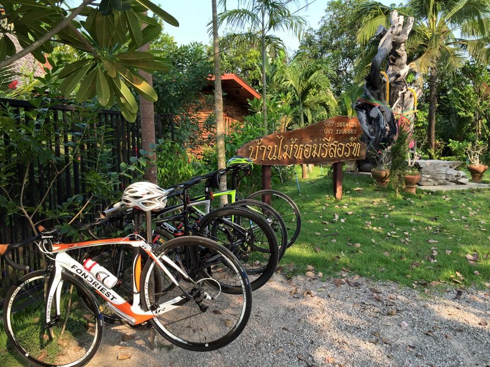 Thể thao và hoạt động