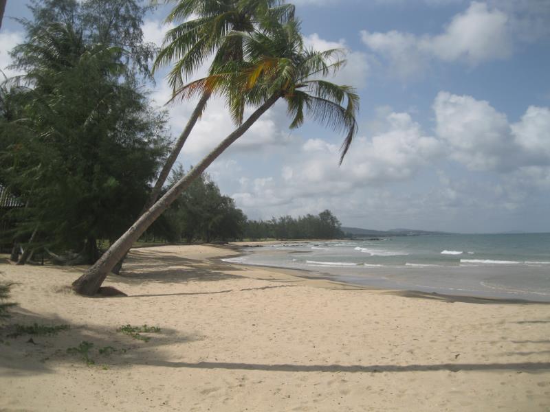 Thể thao và hoạt động