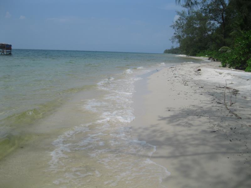 Thể thao và hoạt động