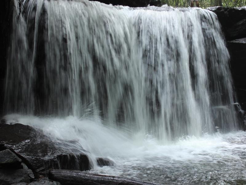 Thể thao và hoạt động