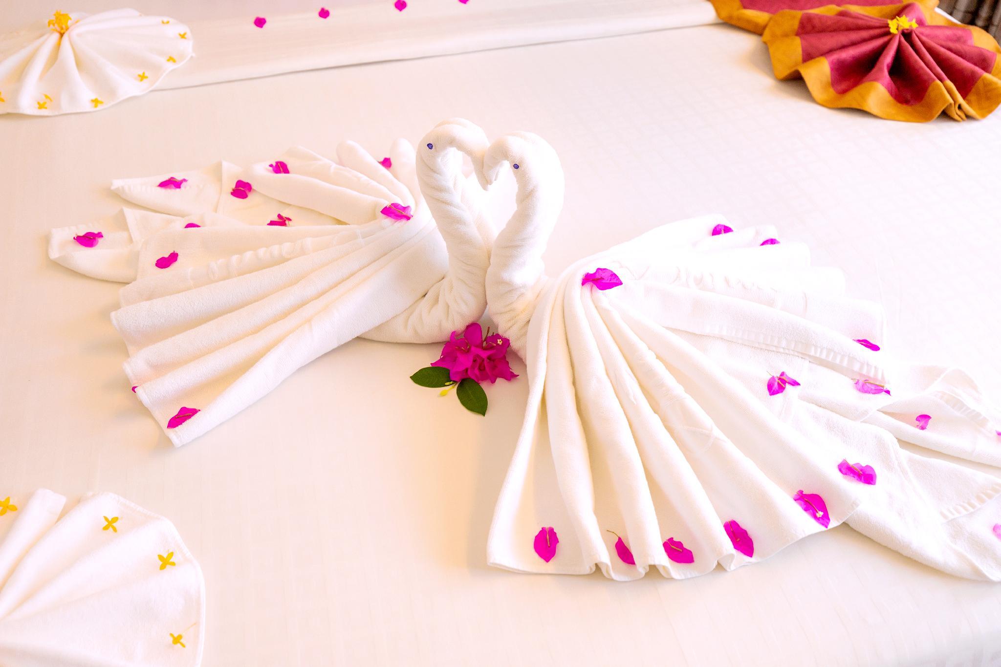 Cơ sở vật chất phòng tắm