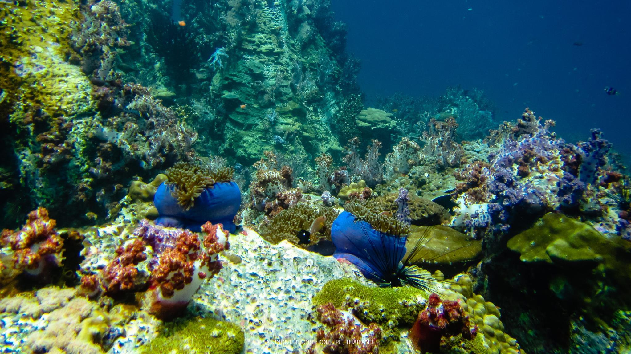 Nơi tham quan gần đây