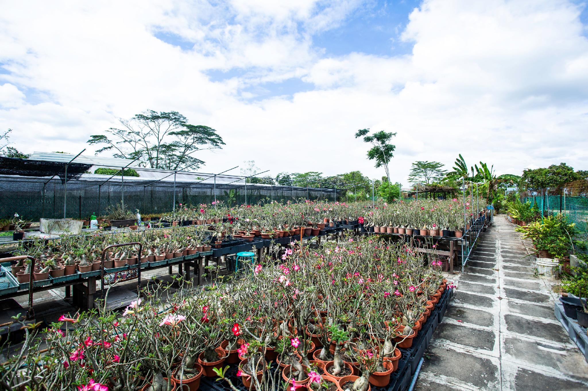 Khu vực xung quanh