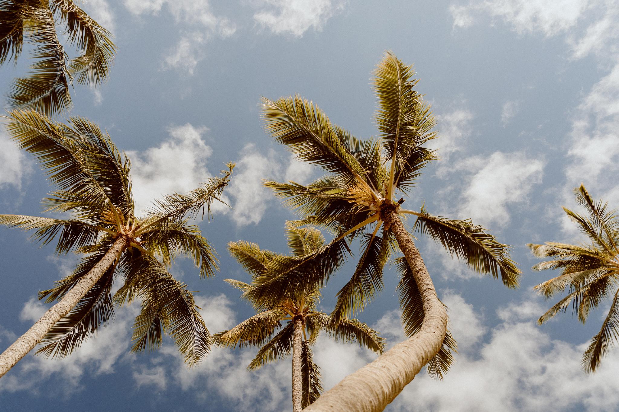 Khu vực xung quanh