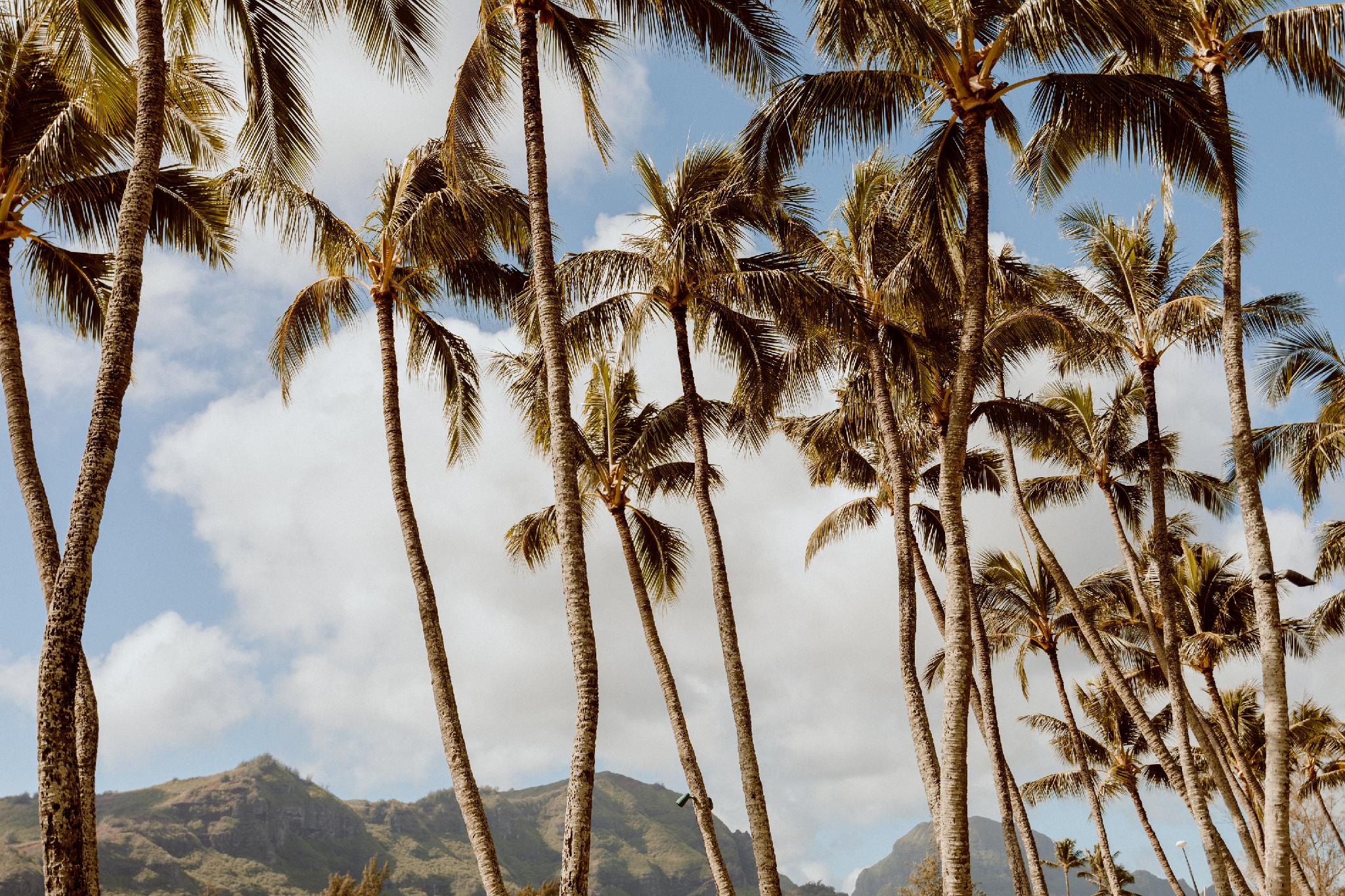 Khu vực xung quanh