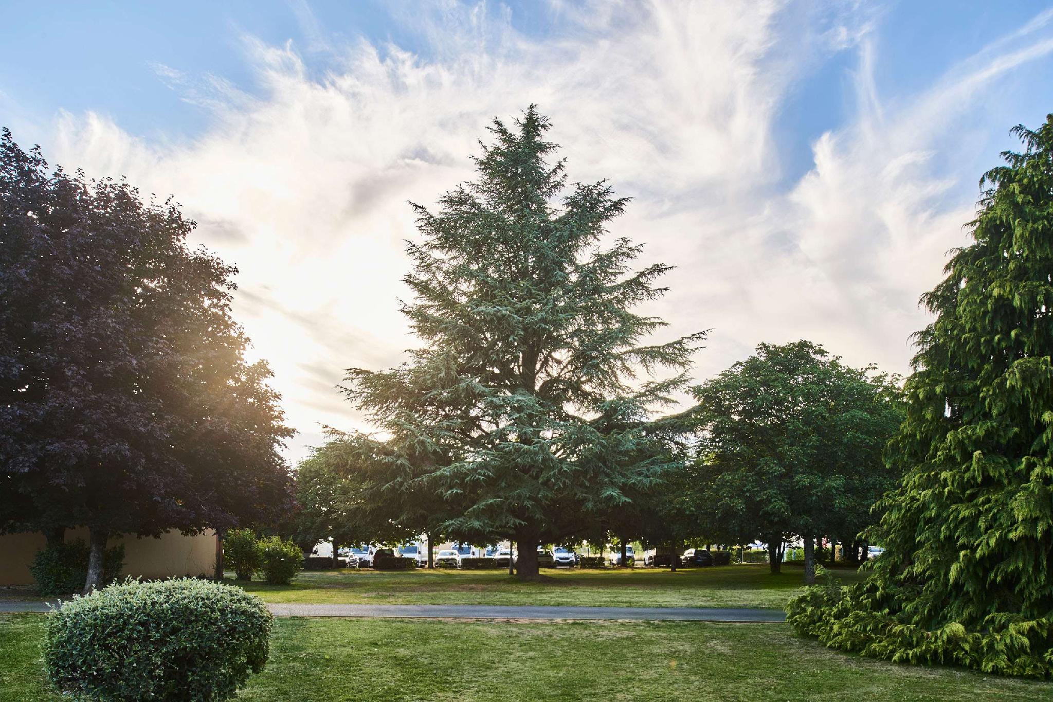 Ngoại cảnh khách sạn