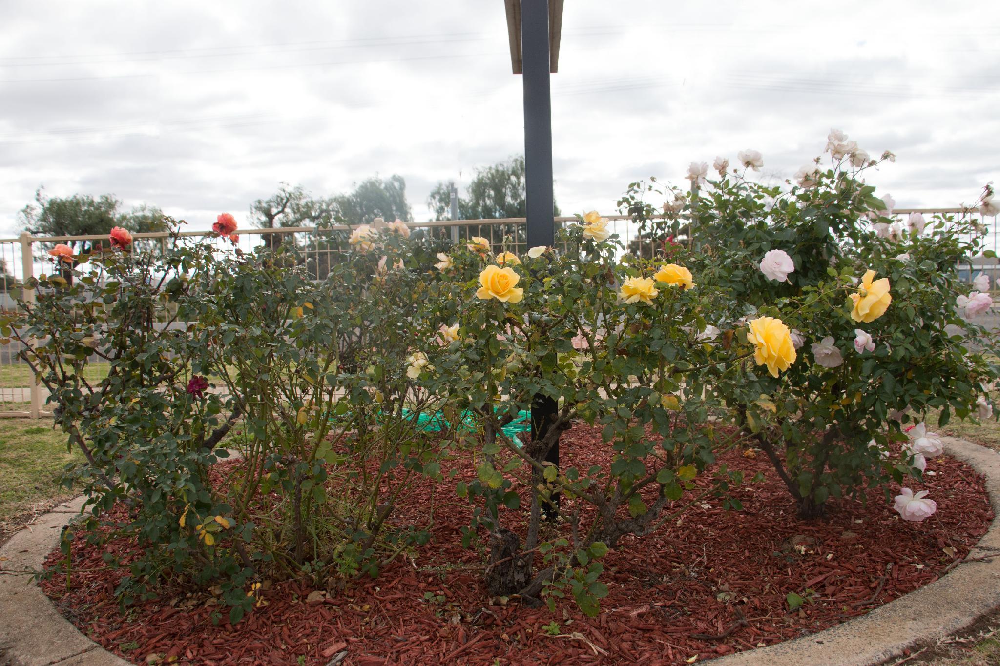 Ngoại cảnh khách sạn