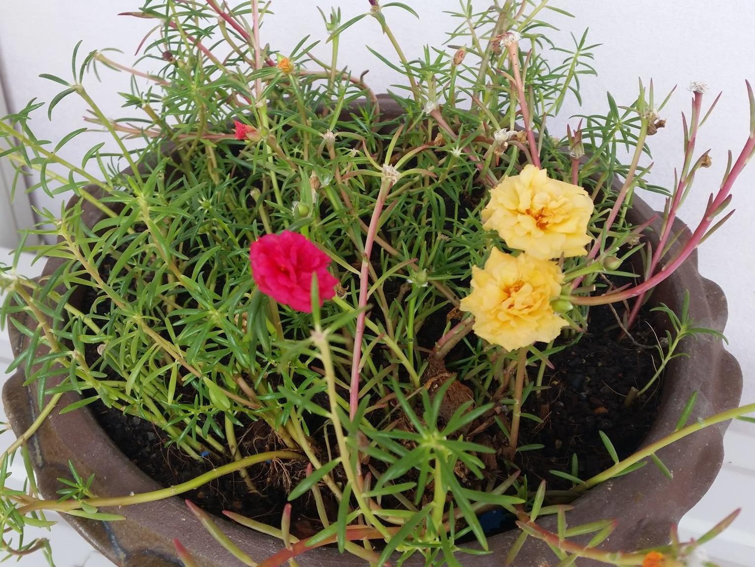 Khu vực xung quanh