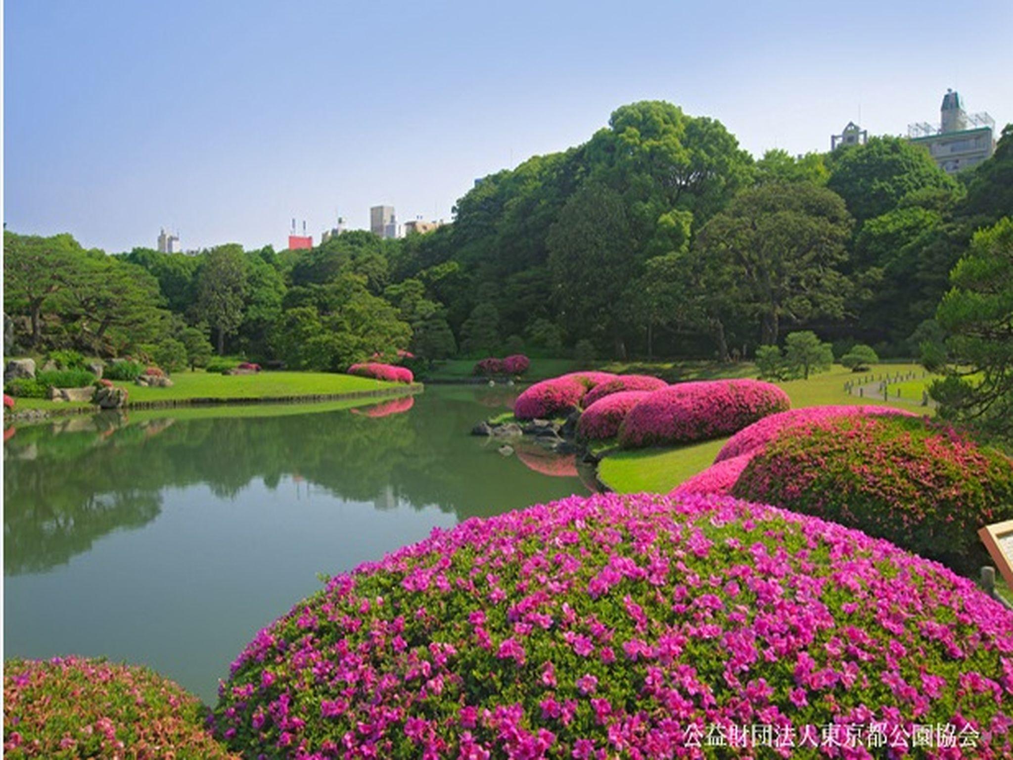Khu vực xung quanh