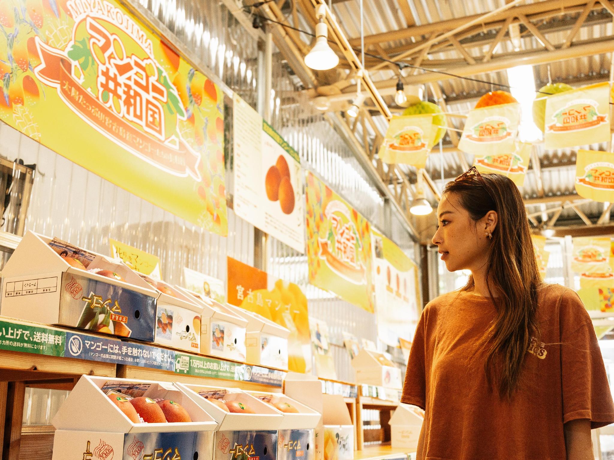 Nơi tham quan gần đây