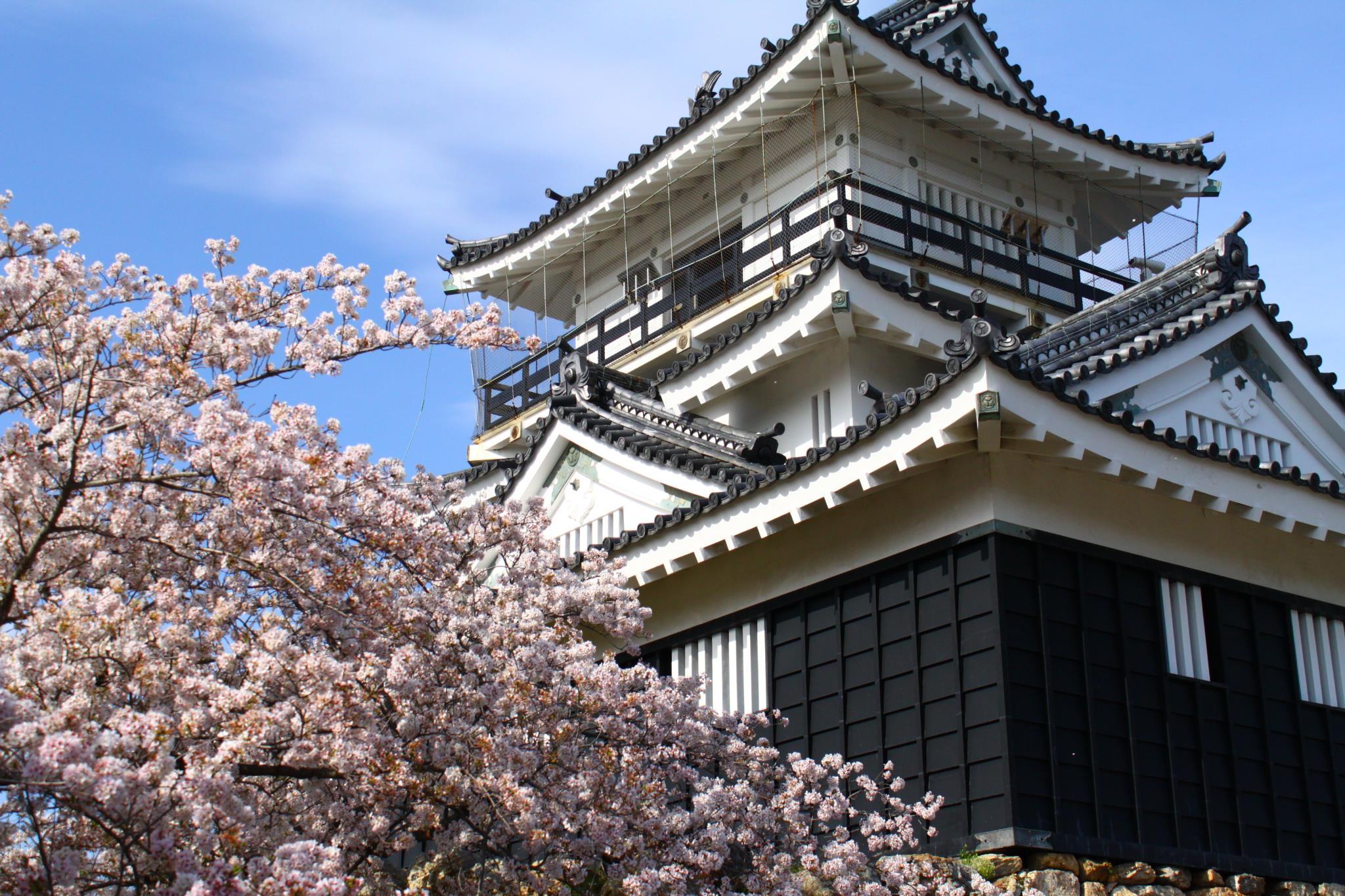 Nơi tham quan gần đây