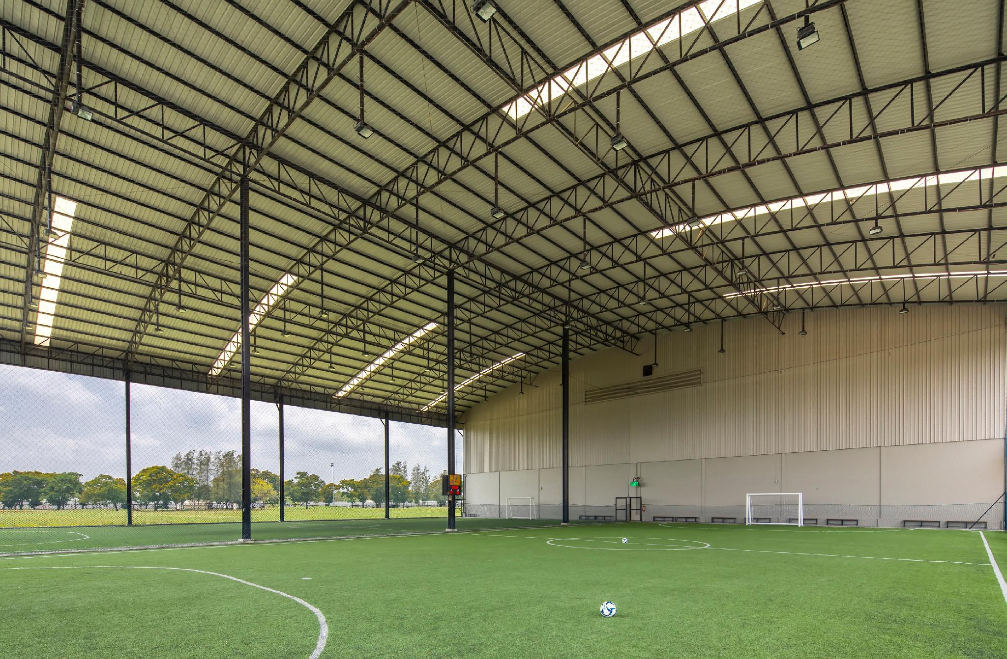 Thể thao và hoạt động