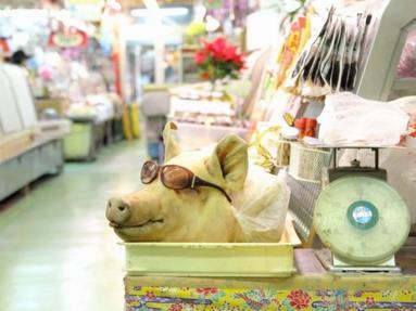 Nơi tham quan gần đây