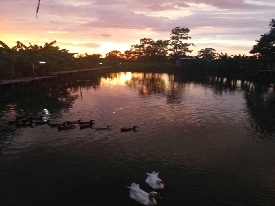 Khu vực xung quanh