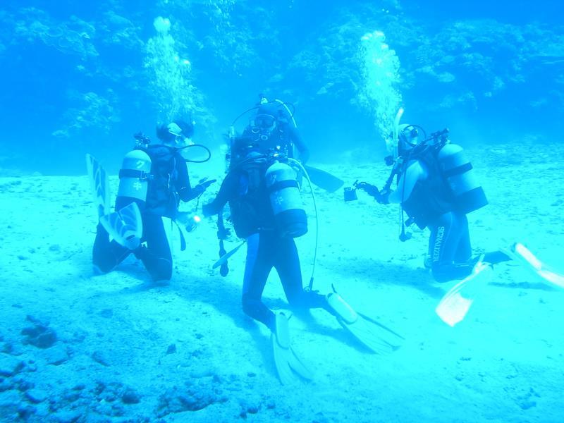 Nơi tham quan gần đây