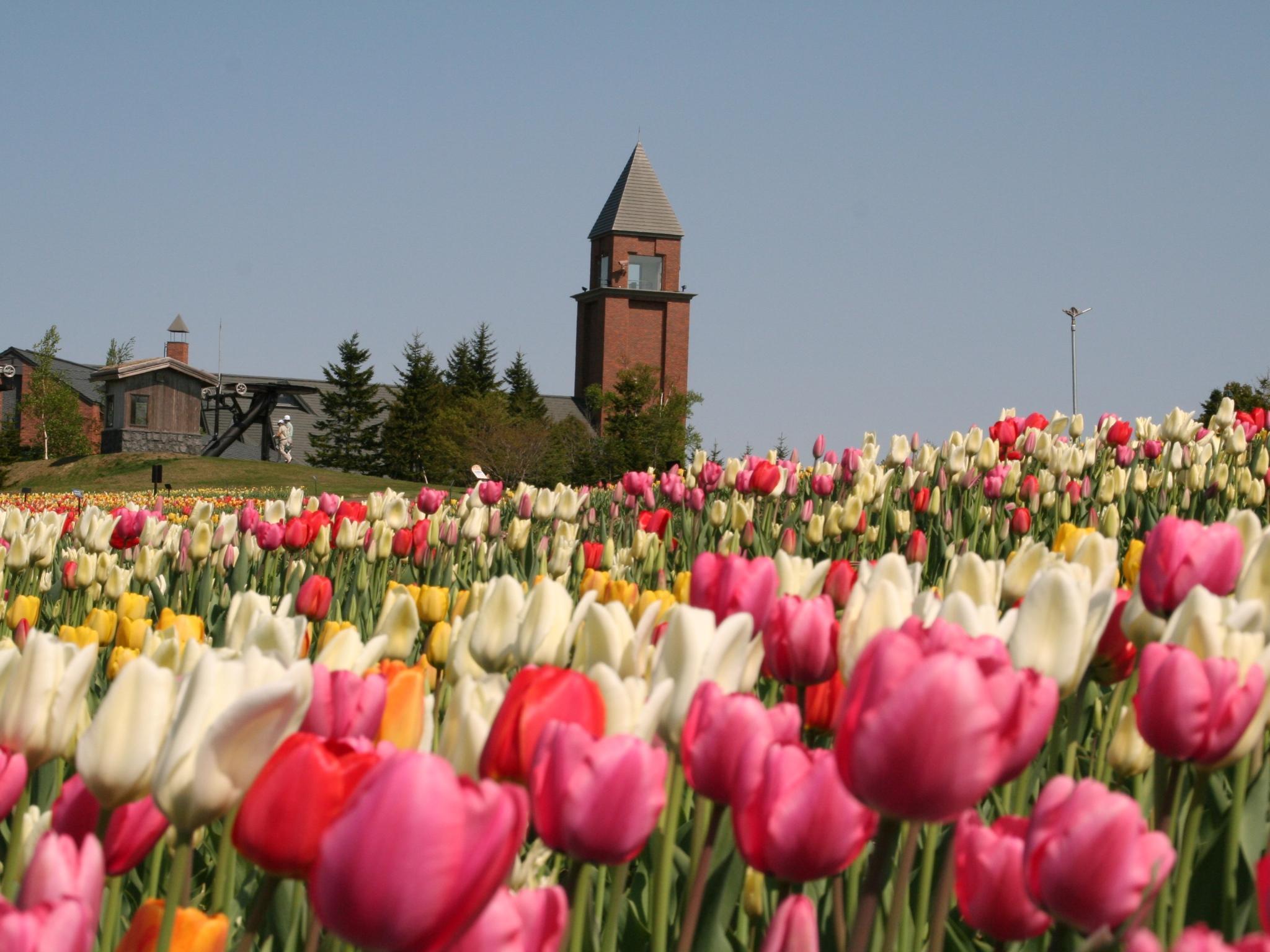 Nơi tham quan gần đây