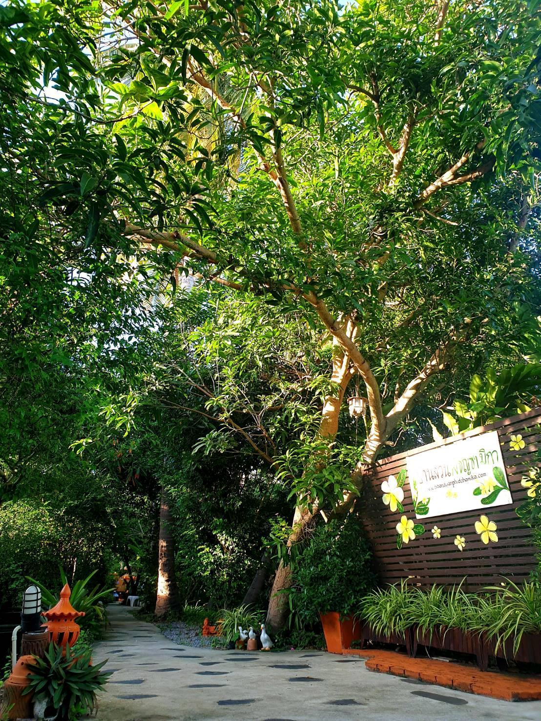 Khu vực xung quanh