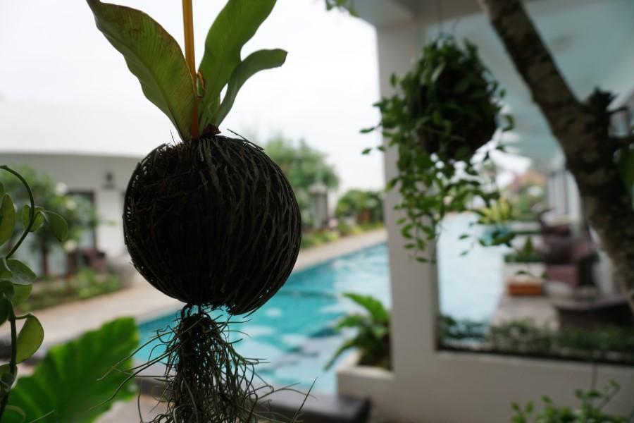 Khu vực xung quanh