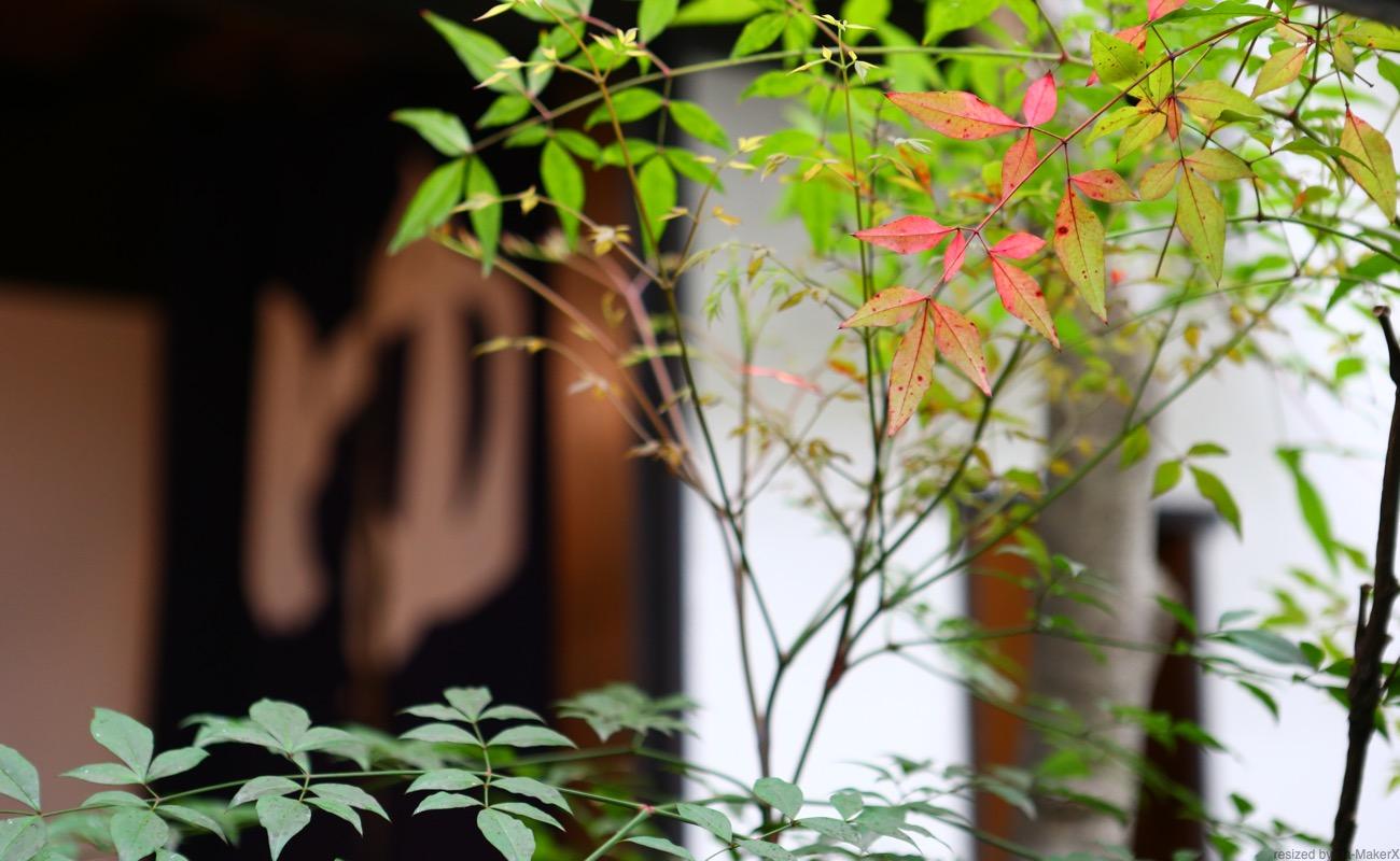 Nội thất khách sạn