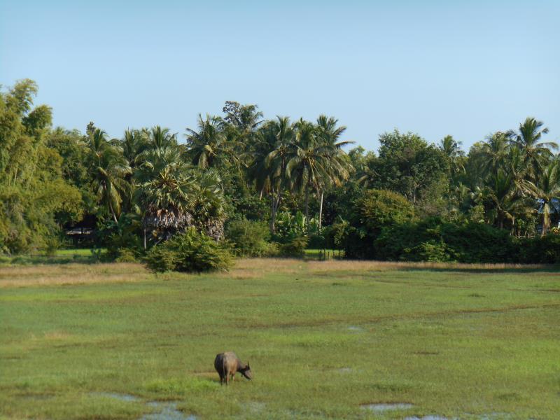 Khu vực xung quanh