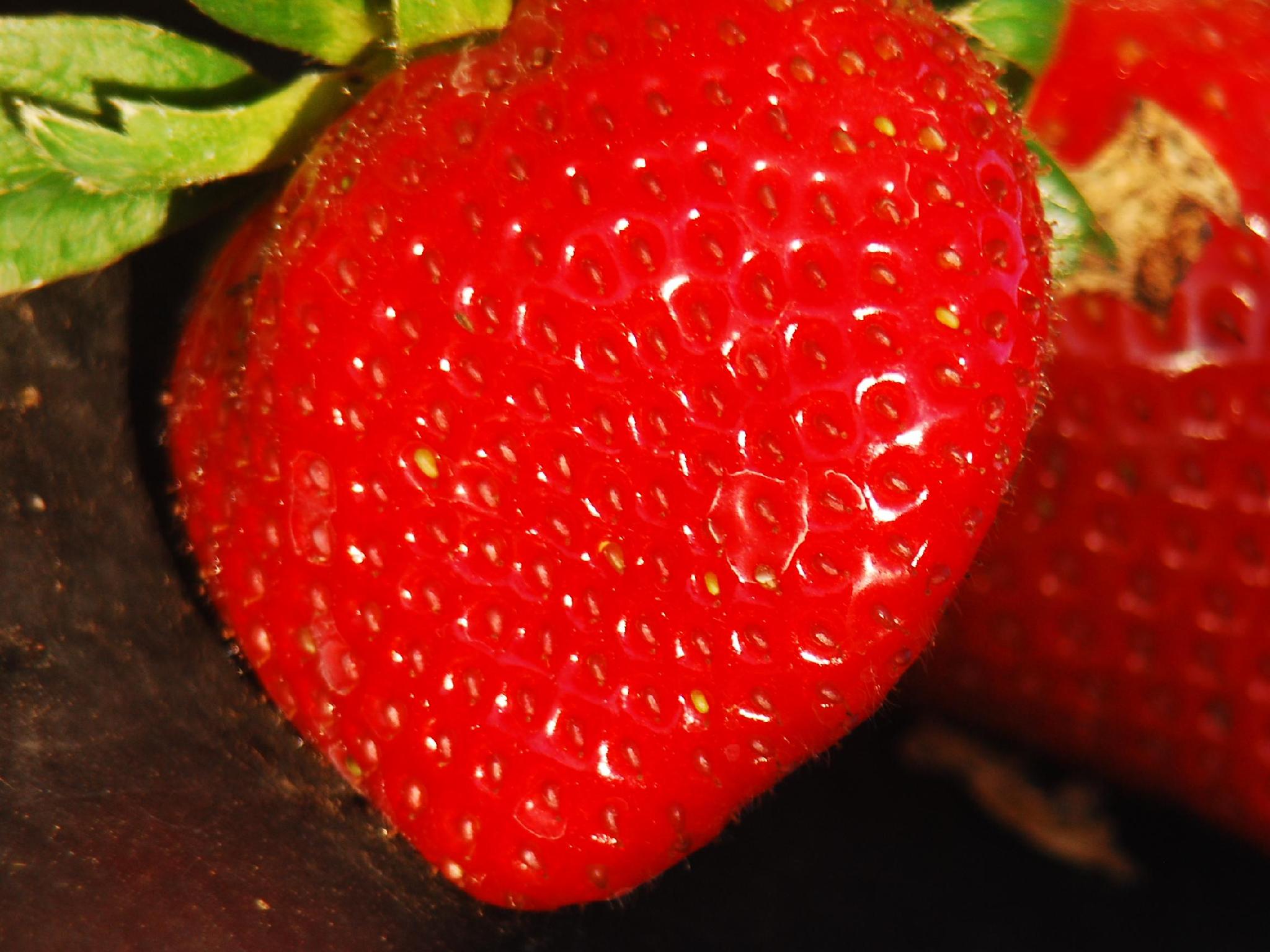 Khu vực xung quanh