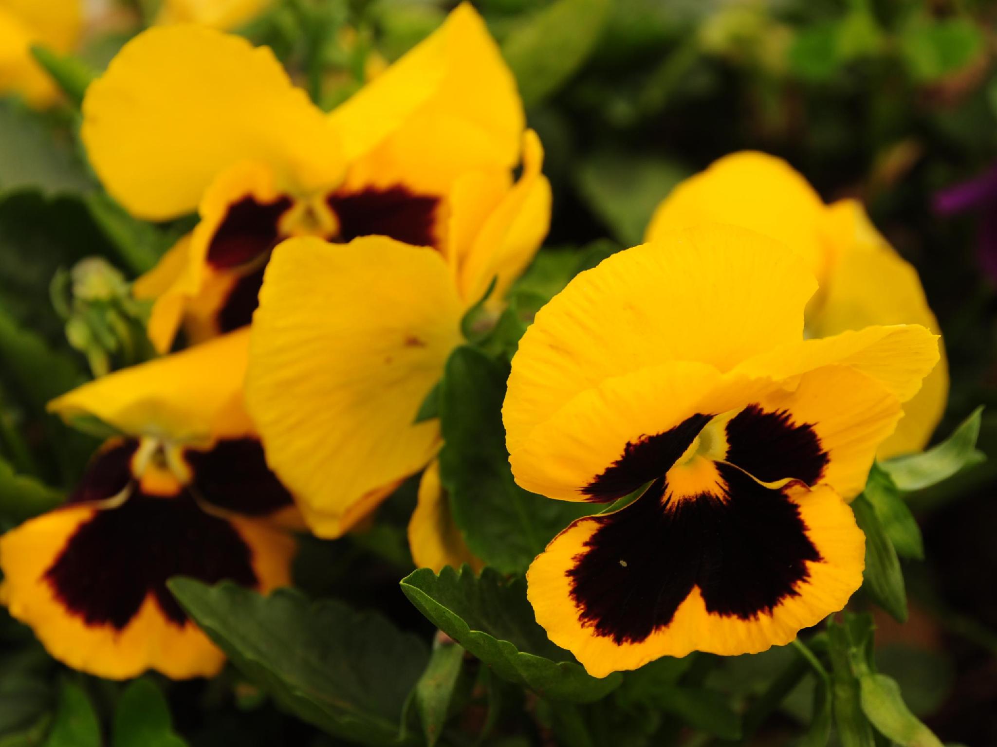 Khu vực xung quanh