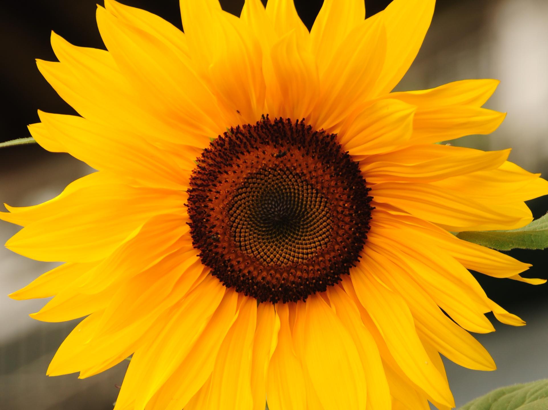 Khu vực xung quanh