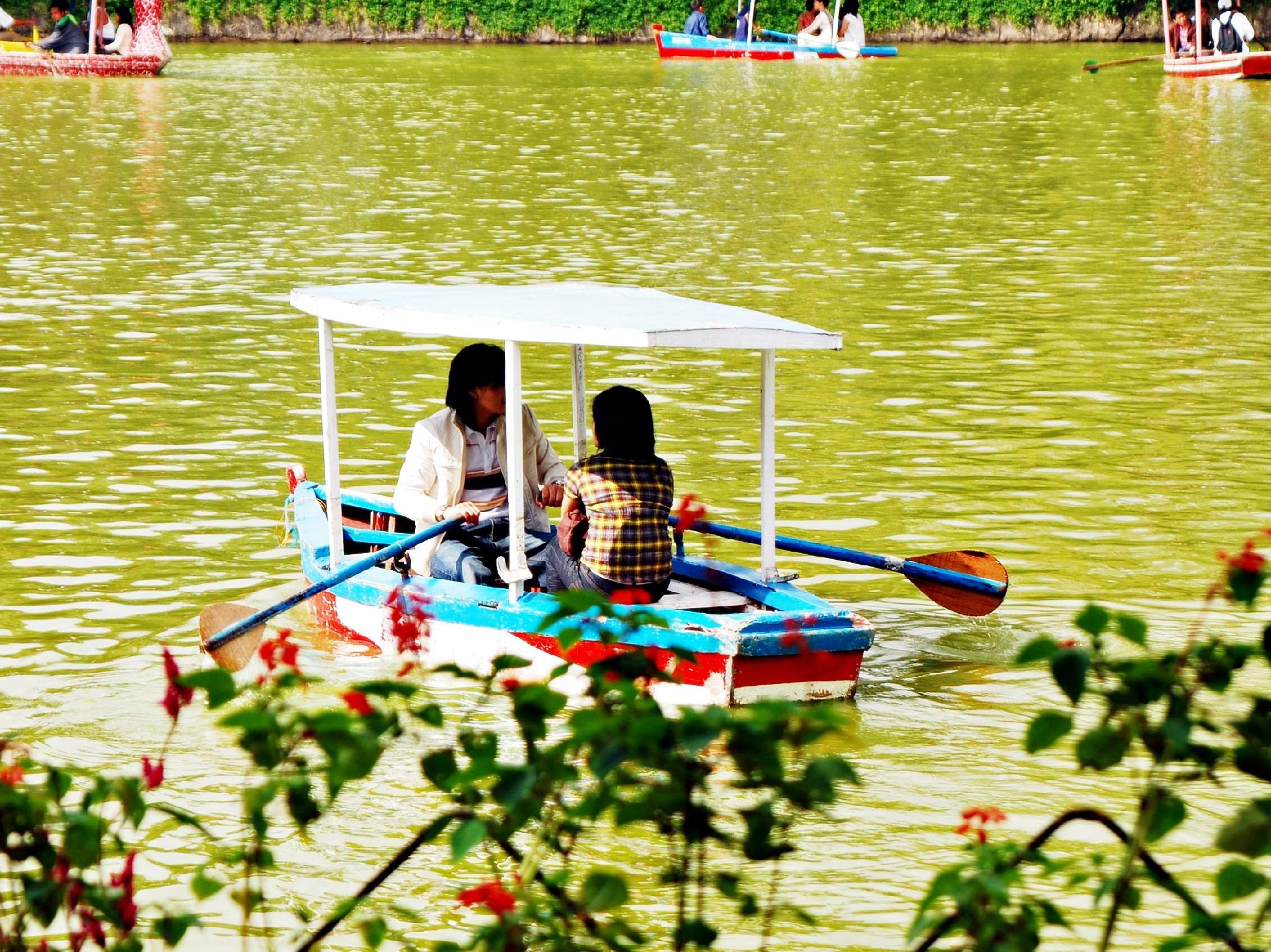 Khu vực xung quanh