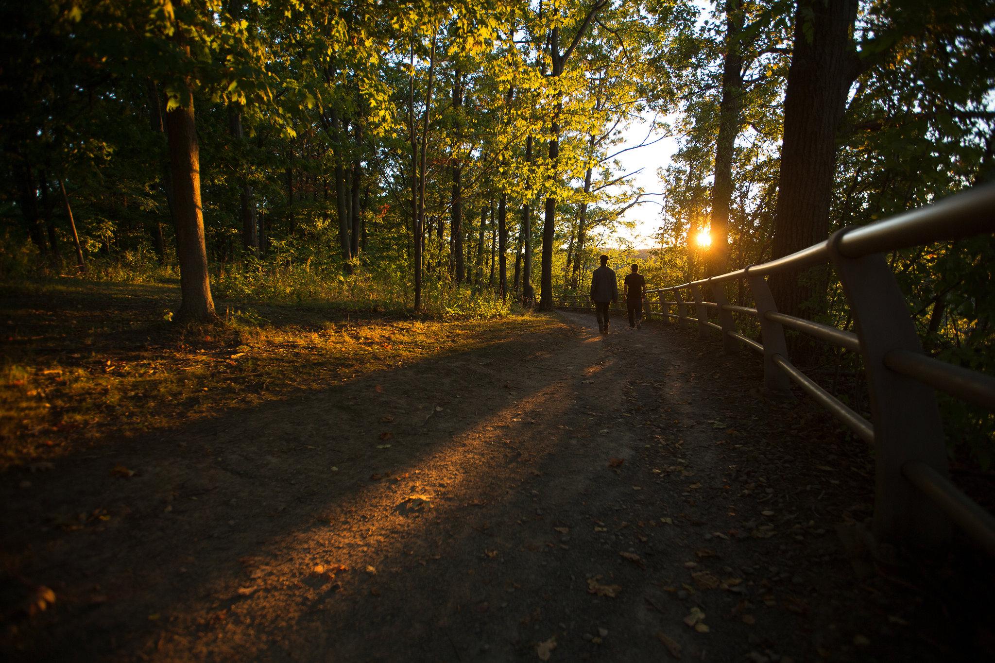 Nơi tham quan gần đây