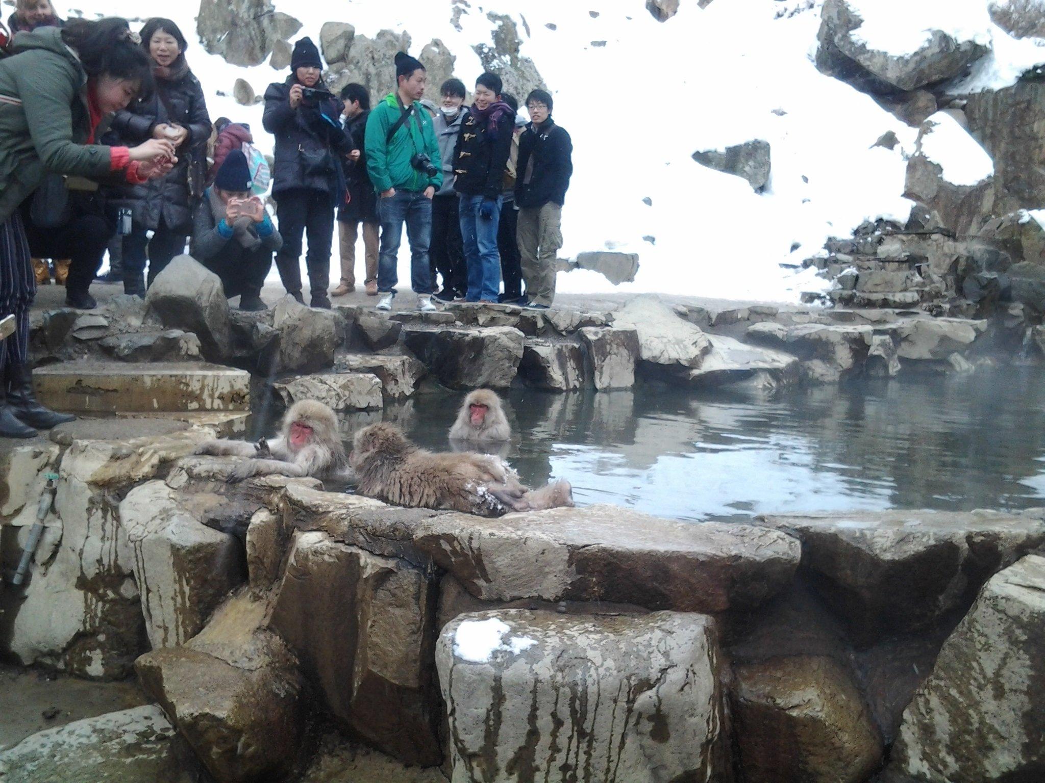 Nơi tham quan gần đây