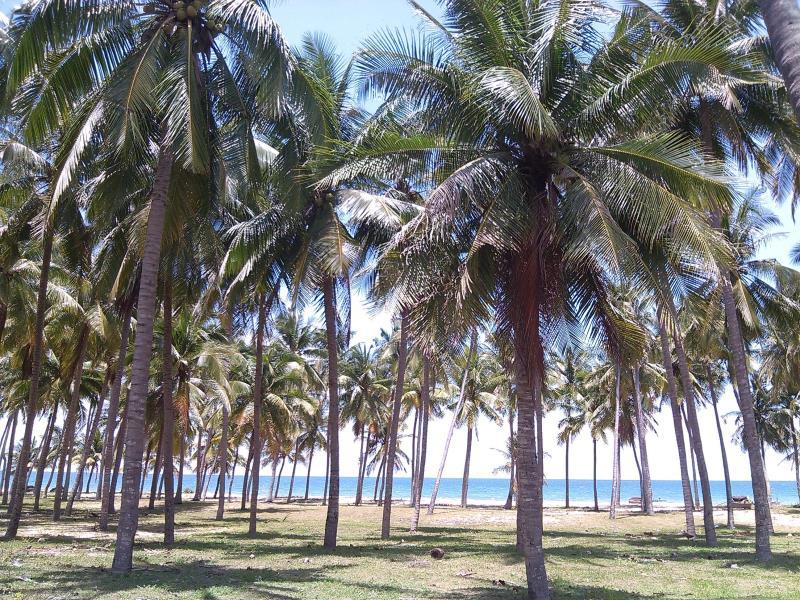 Nơi tham quan gần đây