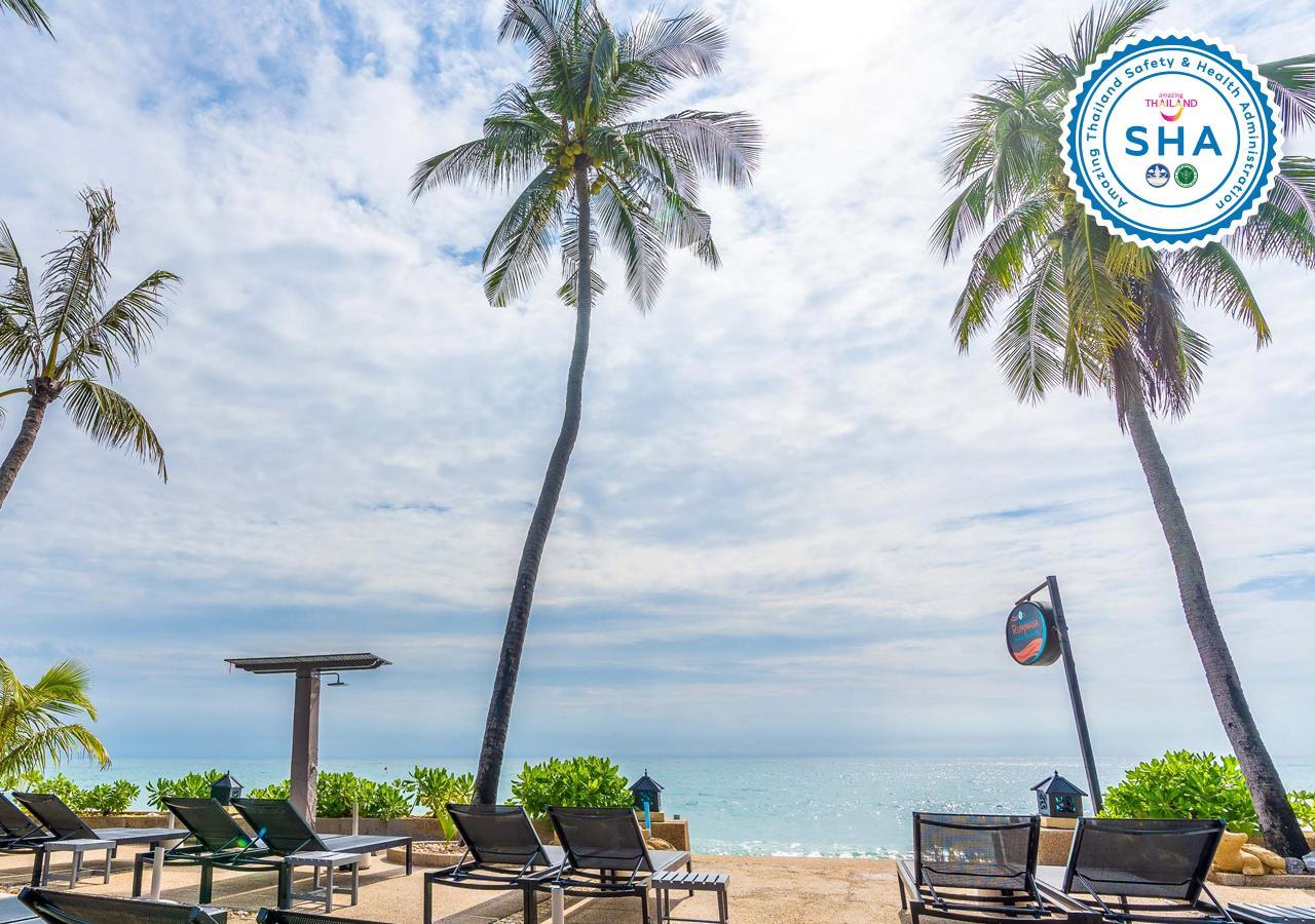 Các biện pháp sạch sẽ