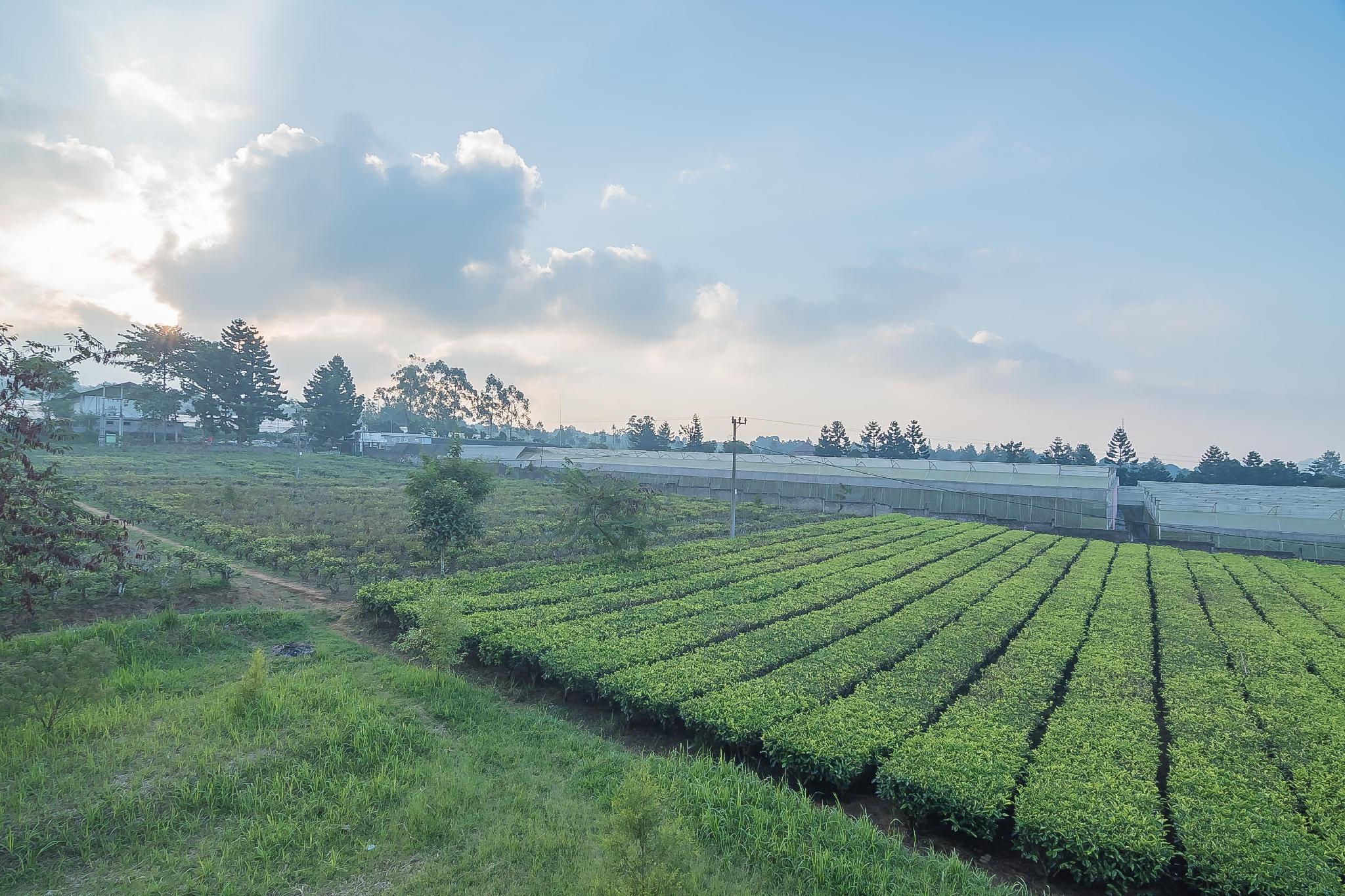 Ngoại cảnh khách sạn