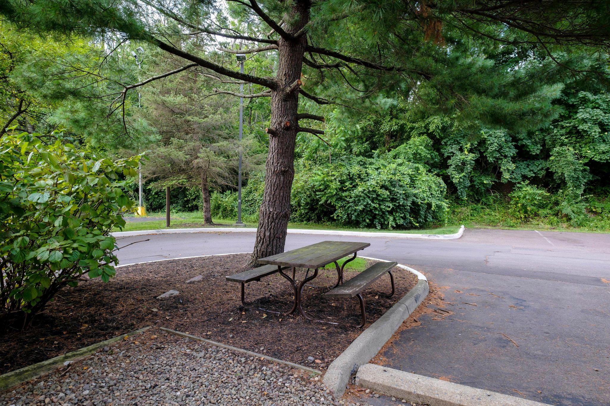 Khu vực công cộng