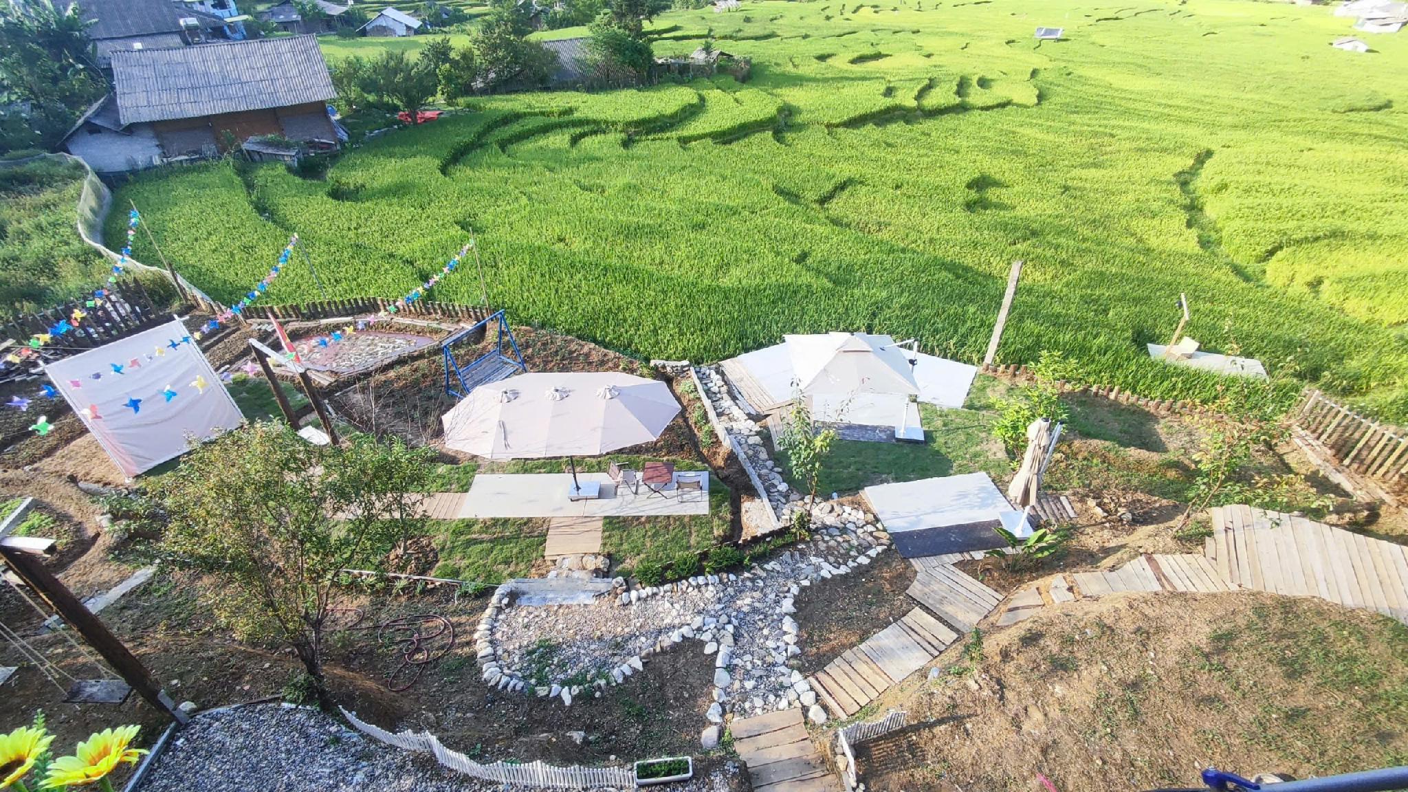 Vườn
