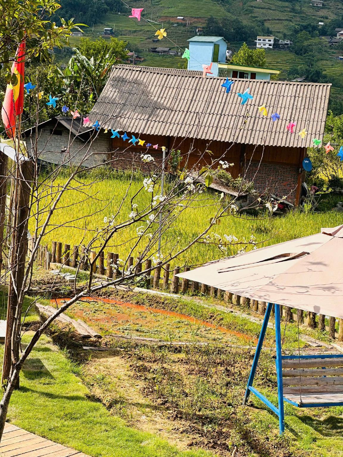 Cảnh quan