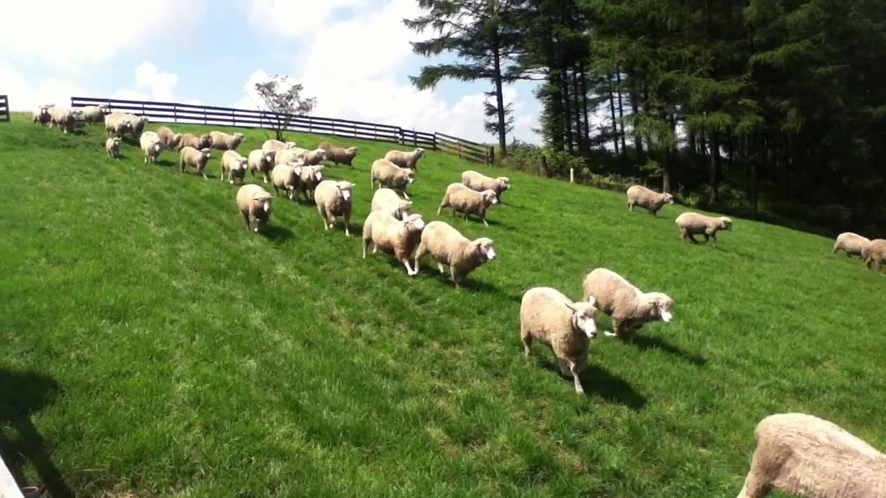 Thể thao và hoạt động