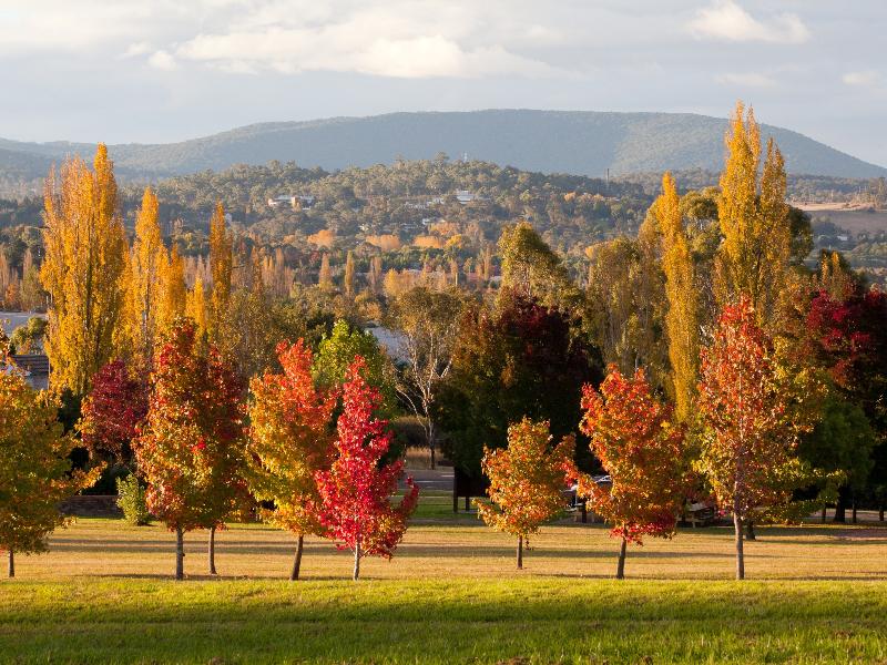 Khu vực xung quanh