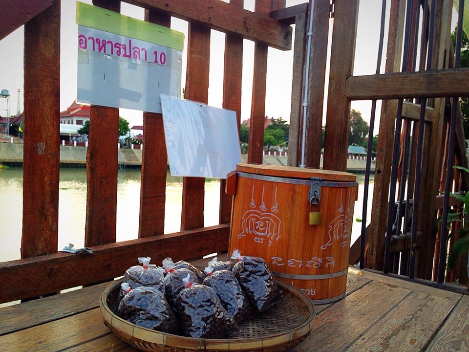 Khu vực xung quanh