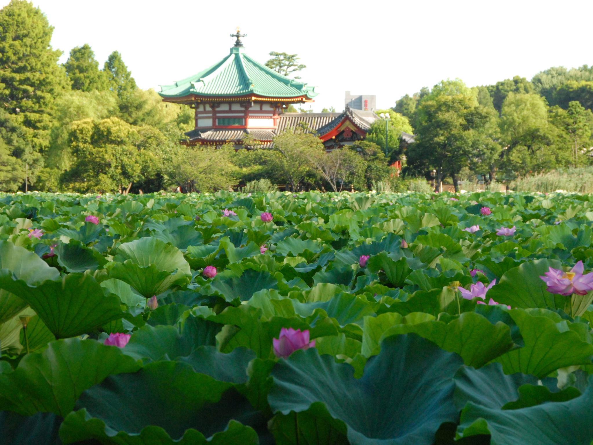 Nơi tham quan gần đây