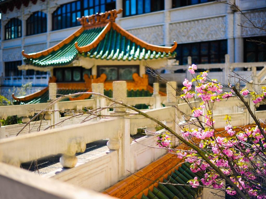 Ngoại cảnh khách sạn