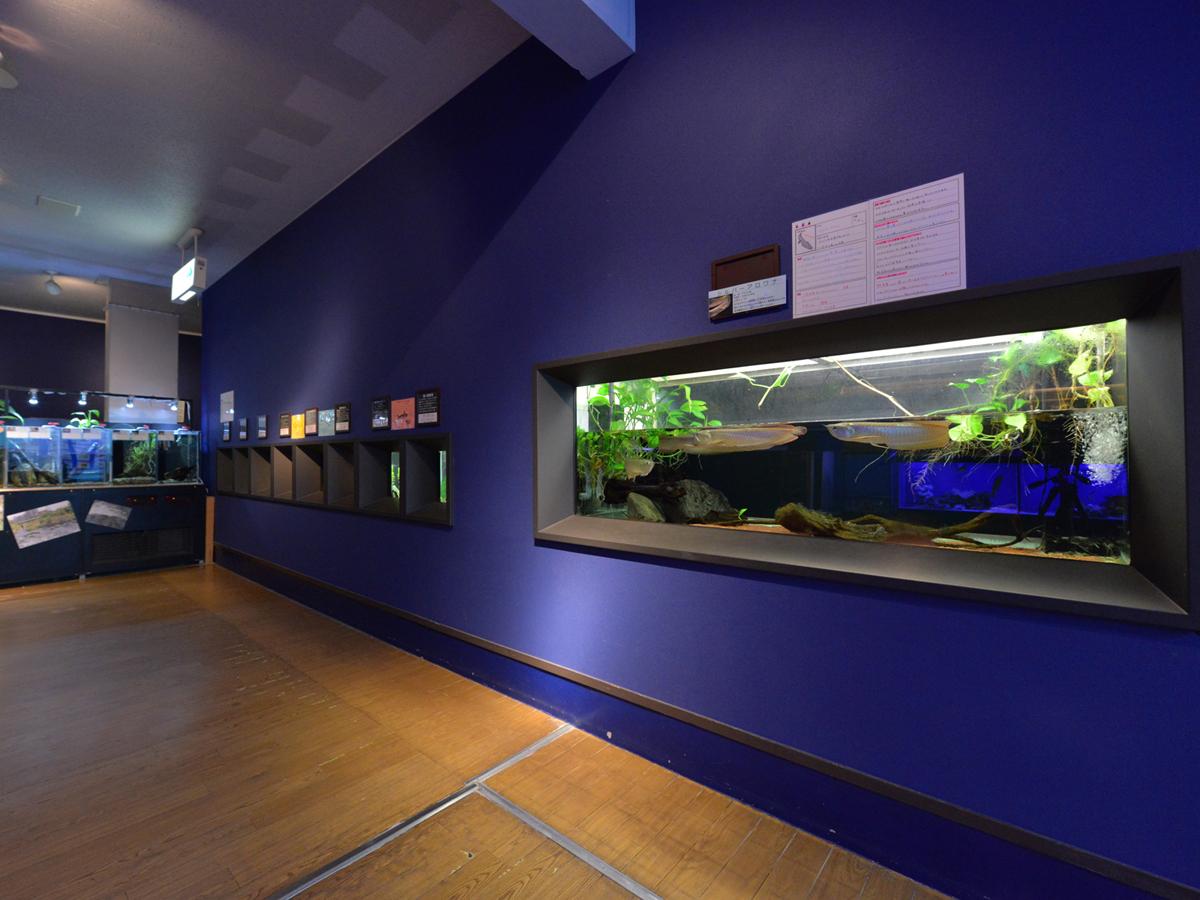 Nơi tham quan gần đây