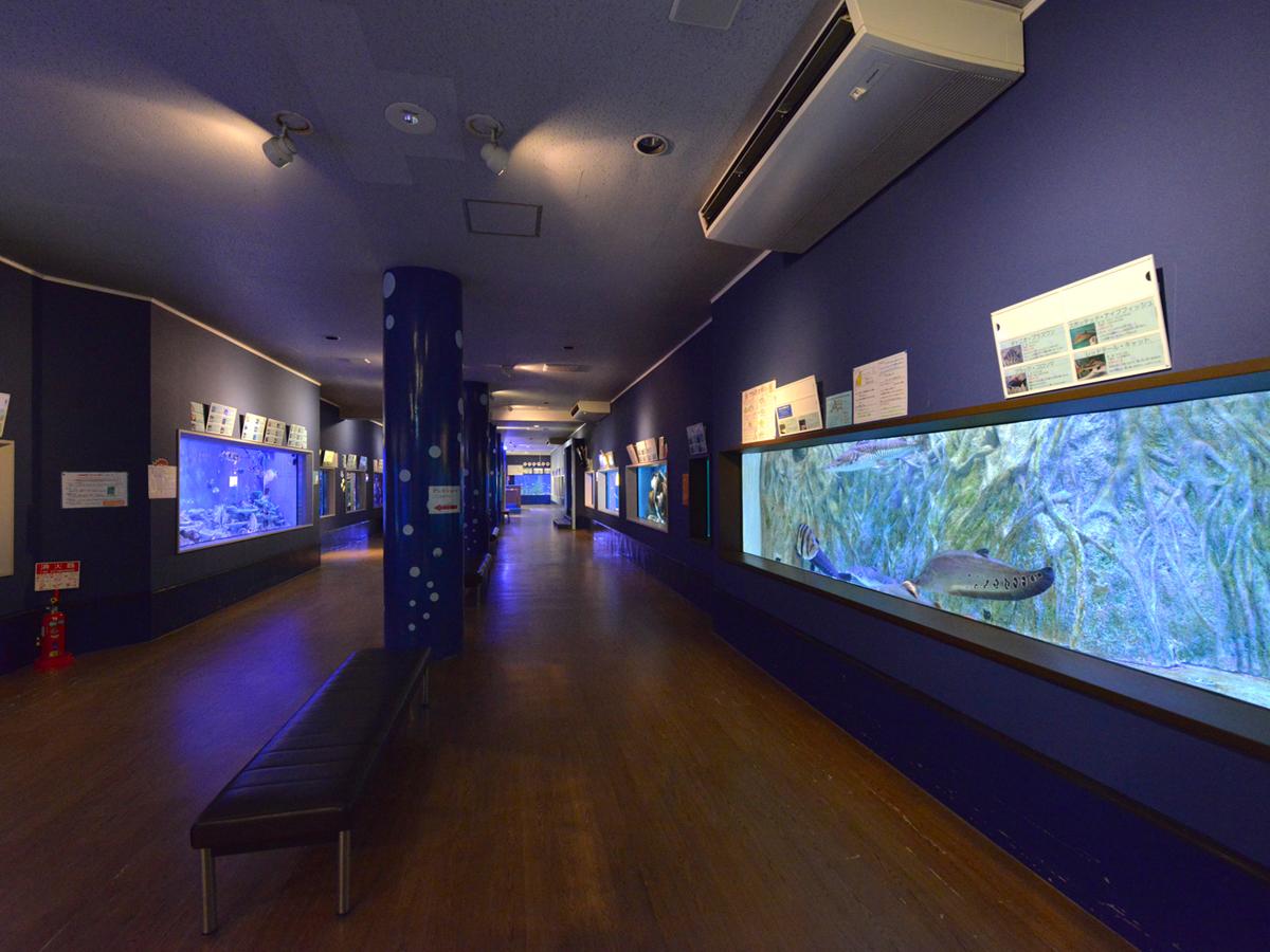 Nơi tham quan gần đây